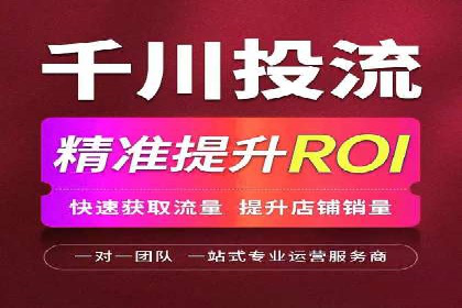 搜索引擎营销（SEM）专员的挑战与机遇
